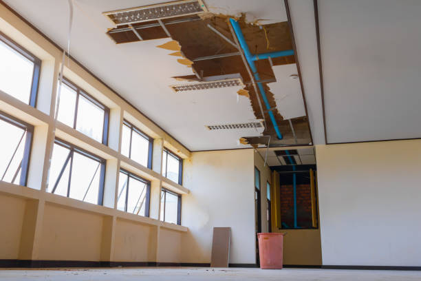 Best Water damage restoration experts  in Anaheim, CA