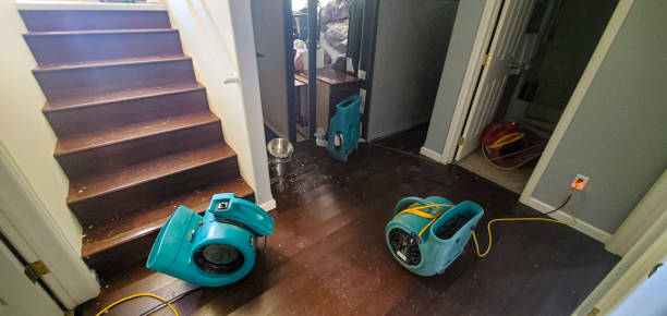 Best Carpet water damage restoration  in Anaheim, CA