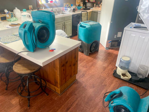 Best Flood damage cleanup  in Anaheim, CA