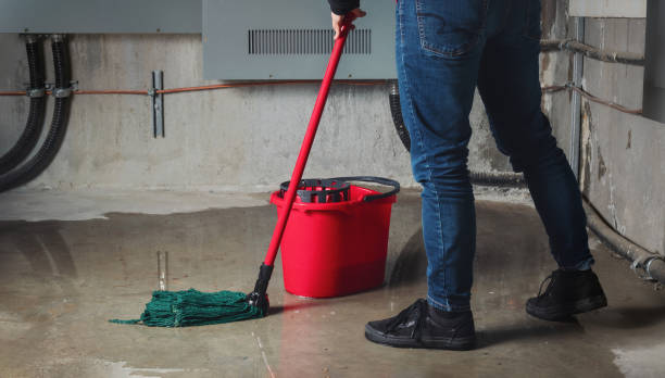 Best Professional water damage repair  in Anaheim, CA