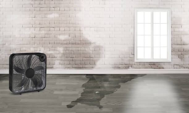 Best Commercial water damage restoration  in Anaheim, CA