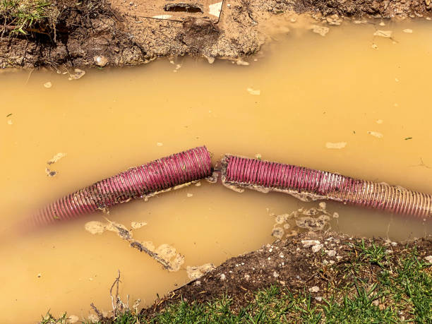 Best Water damage restoration process  in Anaheim, CA