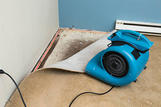 Best Emergency water damage restoration  in Anaheim, CA